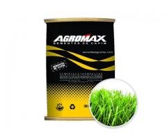 Sementes de Capim Paspalum Atractum Pojuca 5 kg