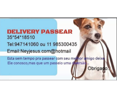 Passeios com dog