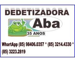 DEDETIZAÇÃO NO CURIO (85) 3214.4330