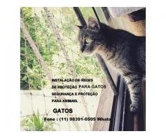 Redes de Proteção na Santa Cecilia, Rua das Palmeiras,