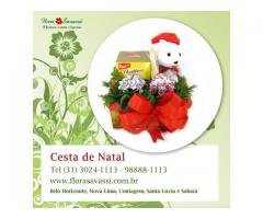 Lagoa Santa MG cesta de natal entrega cesta de natal em Lagoa Santa cesta natalina FLORA EM