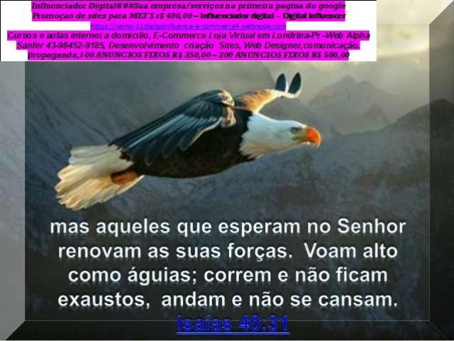Palhano Londrina Serviços contábeis – 24 horas watts 43 98452 9185