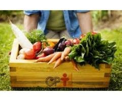 Curso pela internet de Agricultura Natural