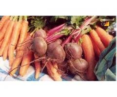 Curso pela internet de Agricultura Natural