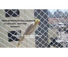 Redes de Proteção no Cambuci, Av. lacerda Franco, (11) 98391-0505 whats