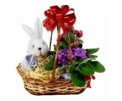 Cestas de pascoa em Igarapé, Vespasiano,  Sete Lagoas, Esmeraldas, Itabirito, Pedro Leopoldo  FLORA