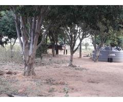 FAZENDINHA JAÍBA ZONA RURAL