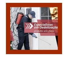 Empresa de Dedetização  – Controle de Pragas na Grande SP