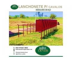 porteiras e pista de ranch sorting