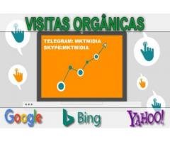 Gerador Trafego De Visitas Em Massa Sites Blogs 2020