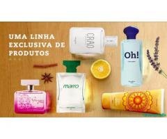 Consultor (a) Independente