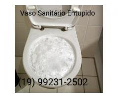 Desentupidora de Vaso Sanitário 992312502 No Parque Industrial em Campinas
