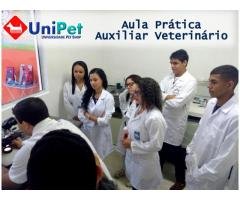 Curso de Auxiliar Veterinário