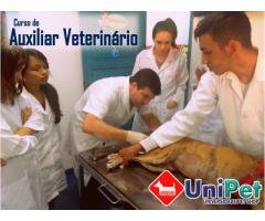 Curso de Auxiliar Veterinário