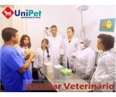 Curso de Auxiliar Veterinário