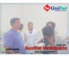 Curso de Auxiliar Veterinário