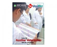 Curso de Auxiliar Veterinário