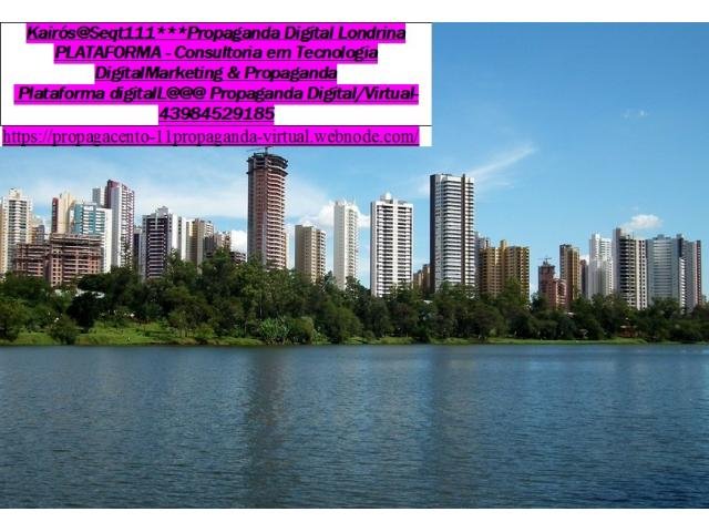 Criação de Sites em Londrina - Working7 a melhor empresa de