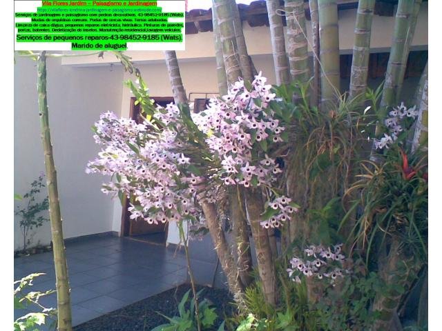 Jardineiro em Londrina – Qualidade e preço justo Serviço de jardineiro em Londrina