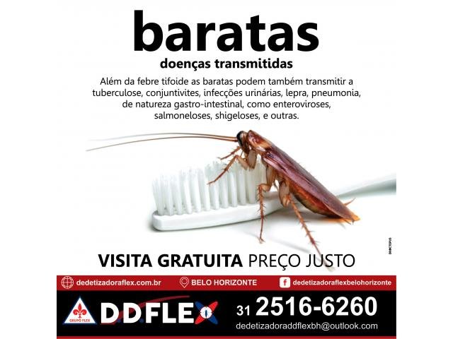 Dedetização de Baratas