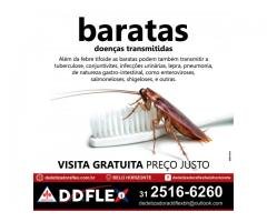 Dedetização de Baratas