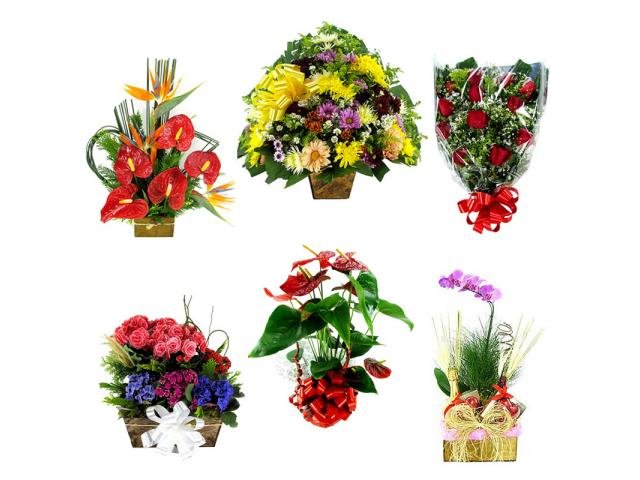 Floricultura Flores cesta de café Condomínio Trilhas do Ouro, Condomínio Cachoeiras do Tangará