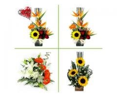 Floricultura BH Compre Online BH Buquê de rosas vermelhas, orquídeas, cestas de café e coroas BH