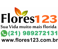 Floricultura São gonçalo 4119-2273