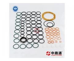 kit reparo Bico injetor denso-Reparo BBA CAV dp200