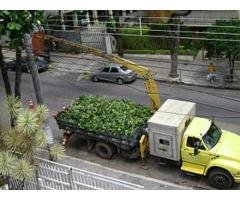 Cesto Aéreo Barueri 11-9-4774-8786-Thais- Munck Para Alugar Alphaville Granja Viana Embu Guaçu.