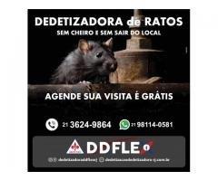 Desratização: Ratos e Ratazanas - RIO(Zona Norte)