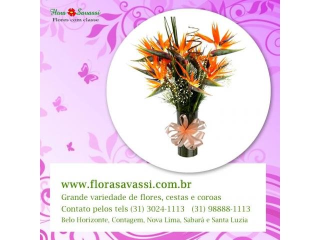 Bairro São Paulo, Aparecida, Bonfim, Caiçara, Camargos floricultura BH flores e cesta de café