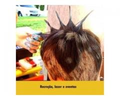 Organização Da Ação Da Festa Do Dia Das Crianças Nas Empresas SBC