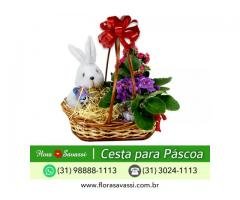 Entrega Cesta de Páscoa flores em São José da Lapa, Itabirito, Esmeraldas, Mateus Leme MG LOJA