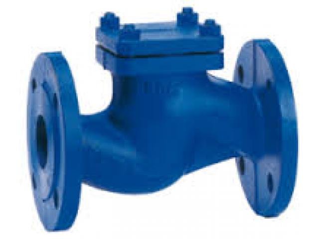 CHECK VALVES SUPPLIERS IN KOLKATA