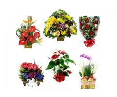 Nova Serrana, Ouro Branco, Nova Lima MG floricultura entrega flores, cesta de café coroa FLORA