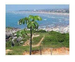 Belas Artes Itanhaem excelente oportunidade