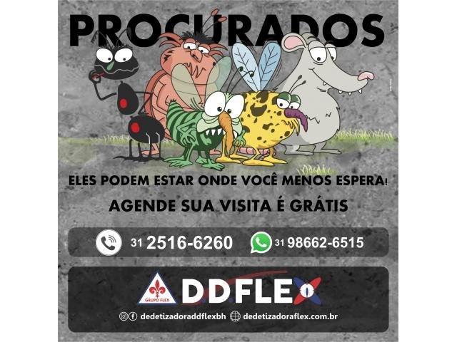 Dedetização e Dedetizadora - Barreiro