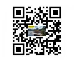 Genesis  - Consultoria Financeira Londrina###Assessoria Financeira Pessoal