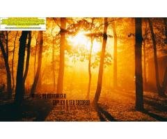 Pessoal Brazil - Assessoria Financeira – Planejamento Financeiro Mensal Assessoria, Consultoria