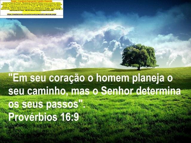 Comprovante renda sendo autônomo?conheeça 4 formas... Passo a Passo para comprovar renda
