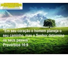 Comprovante renda sendo autônomo?conheeça 4 formas... Passo a Passo para comprovar renda