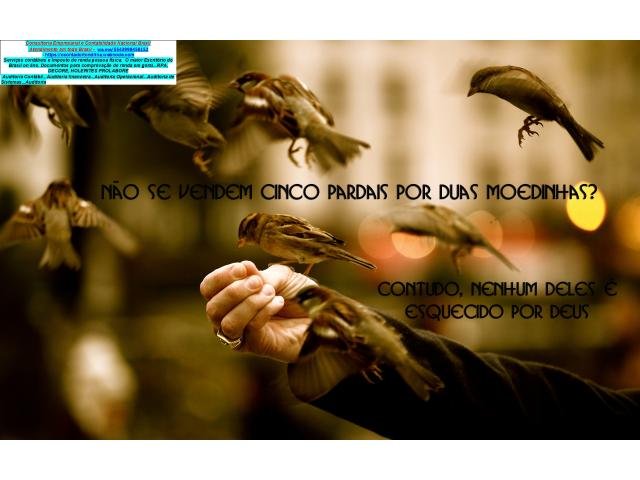 Monte Libano Assessoria para micros e pequenas empresas  Financeiros