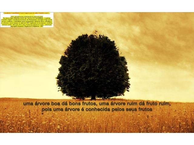 São Paulo  - Documentos para Comprovação de renda para emissão de passaporte