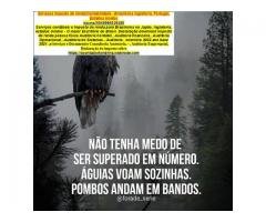 Paraná - Gestão de Assessoria  financeiro online em Londrina...e contábil particulat