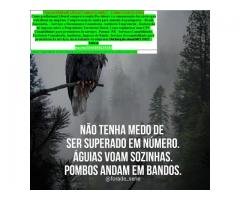 Emissão guias impostos federais, estaduais e municipais... Paraná/Minas Gerais/São Paulo