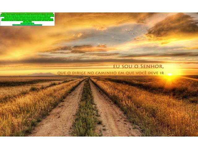 RPA: o que é e como funciona? Como emitir o recibo de pagamento autônomo