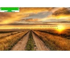 RPA: o que é e como funciona? Como emitir o recibo de pagamento autônomo