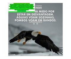 Rondonia###Consultoria, Contabilidade, Assessoria e Auditoria Online Mei ou Me
