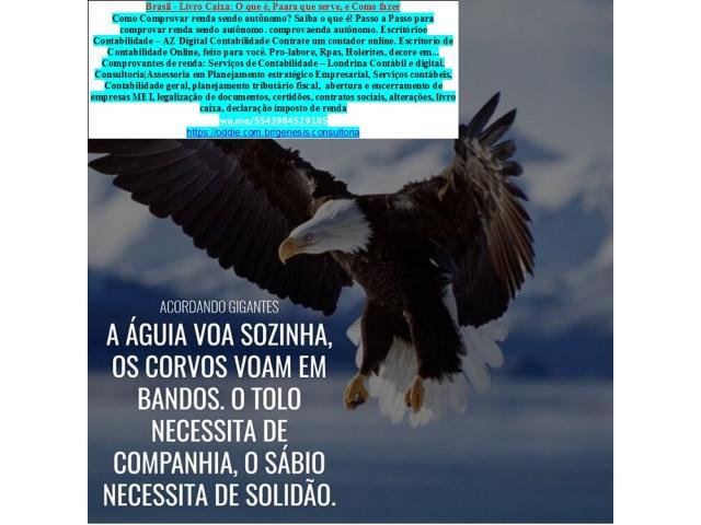 Assessoria, Consultoria, Auditoria, Contabilidade–Serviços Gerais Pequenas empresas